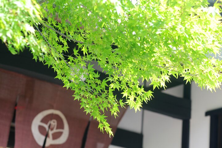 愛染倉　結婚写真