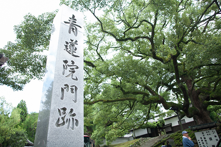 青蓮院　結婚式　9月