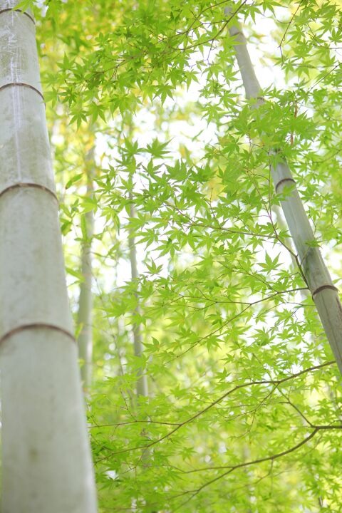 愛染倉　結婚式