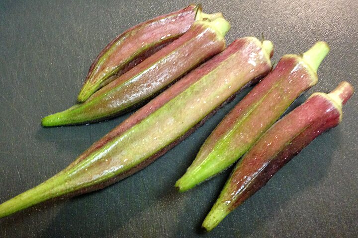 京都丹波のオクラ